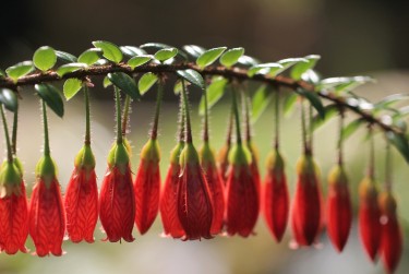 珠海金湾区1私人快速借钱网，轻松解决资金难题