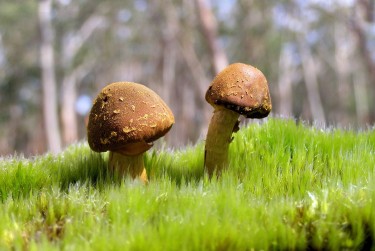 珠海金湾区1私人老板放款：轻松融资的秘密通道